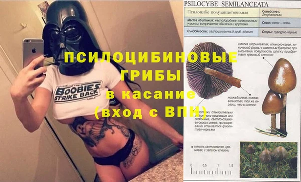 эйфоретик Арсеньев