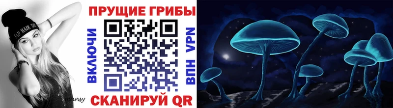 Галлюциногенные грибы Magic Shrooms Купить Усмань