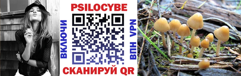 Псилоцибиновые грибы Magic Shrooms Усмань